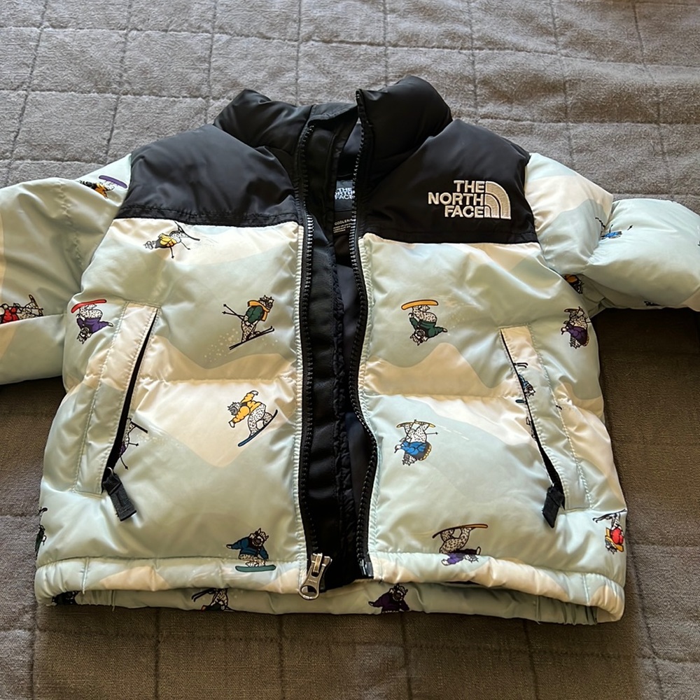 Toddler North Face winter jacket